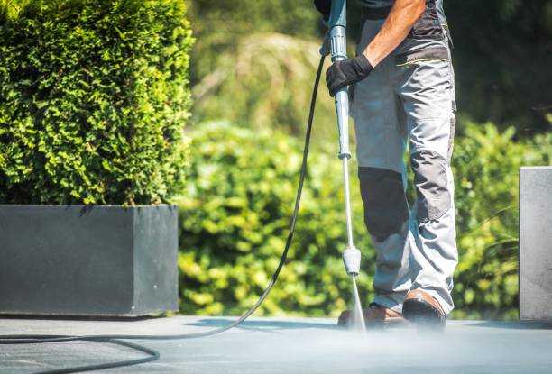 Best Sidewalk and Walkway Cleaning  in Oakwood, IL